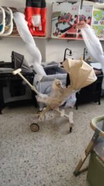 ⁦عرباية سفر⁩ - الصورة ⁦2⁩